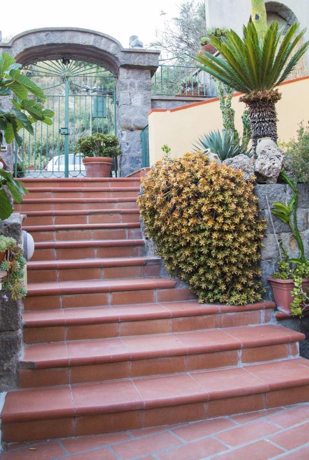 Villa Paradiso Sant'Angelo (Isola d'Ischia) Exterior foto
