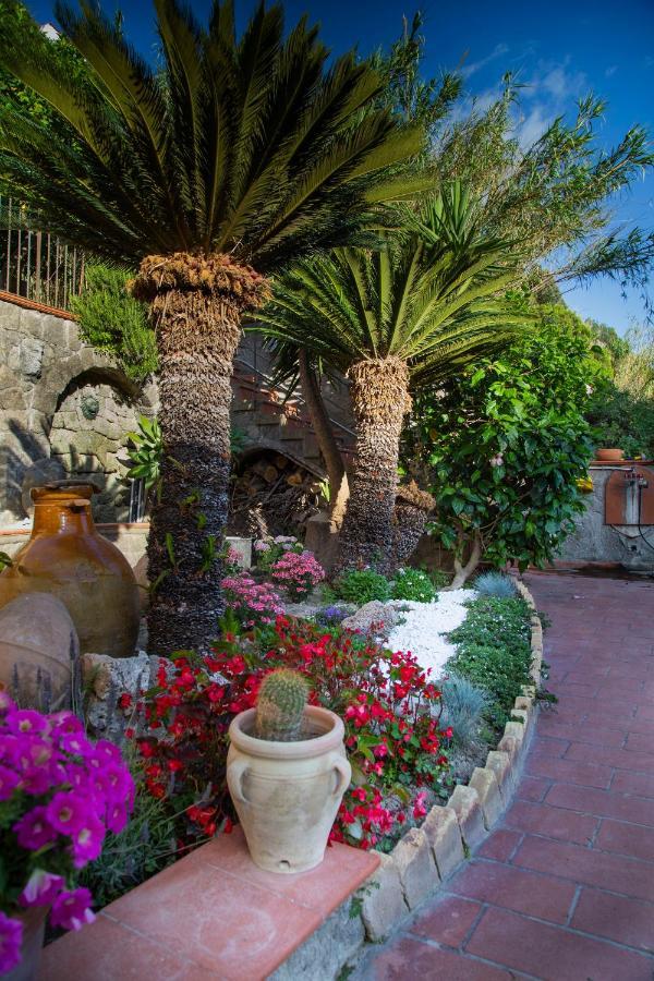 Villa Paradiso Sant'Angelo (Isola d'Ischia) Exterior foto